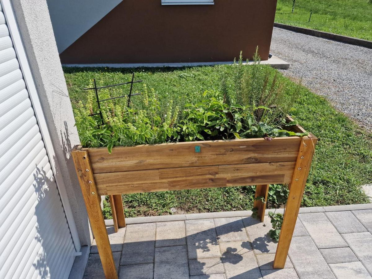 Kuca Za Odmor Grasevina Villa Kutjevo Luaran gambar